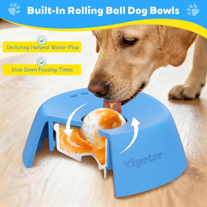 Anti-Slip Slow Feeder Dog Bowl for Liquids, Bone Broth and Yogurt Lick Toy for Dogs of All Breeds, Ideal for Dietary Supplements and Post-Operative Nutrition